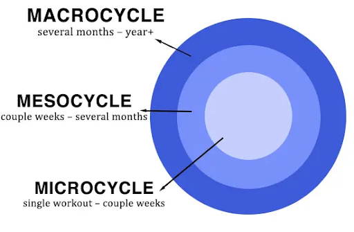 Periodization time cycles